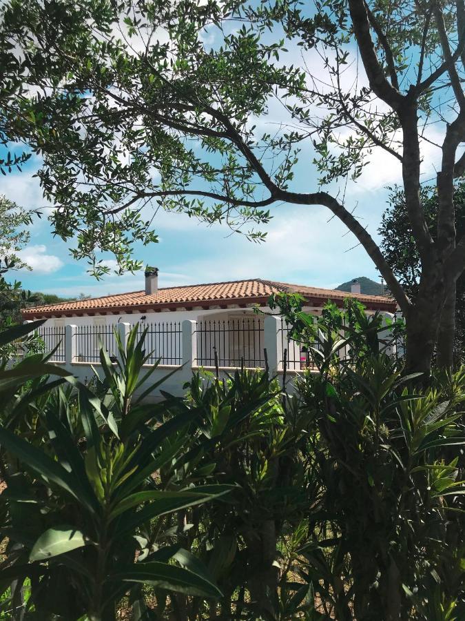 La Casa Dell Olivo Castiadas Exterior foto
